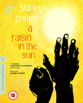 A Raisin In The Sun Blu-ray