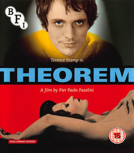 Theorem Dual Format